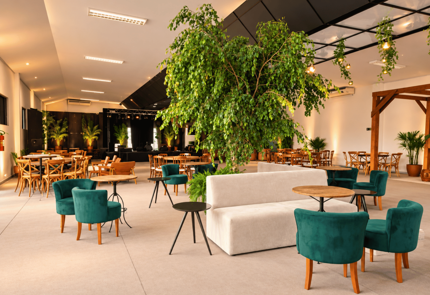 Jequitibá - Amplitude para criar eventos em grande escala, com liberdade de formato.